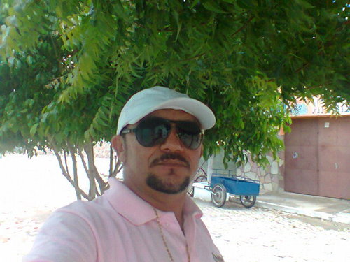 se1010se's profile picture. 