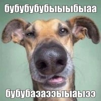 bob dilan (@bobdila7213314) Twitter profile photo
