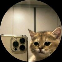Samantha Rae (@samc_098) 's Twitter Profile