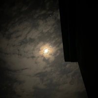 ورده. (@mtd__11) Twitter profile photo