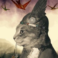 Bewitchingstorm (@bewitching333) 's Twitter Profile