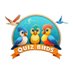 Quiz Birds Quizzes & Trivia (@quizbirds) Twitter profile photo Quiz Birds Quizzes & Trivia (@quizbirds) Twitter profile photo