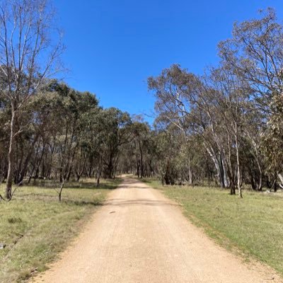 Busy Mum | Senior Producer, ABC Radio Canberra | Former BBC Journalist | My views, not those of Australian Broadcasting Corporation