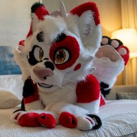 ✨ Ten ✨ Also on 🦋☁️💙 (@tentailedwolf) 's Twitter Profile Photo ✨ Ten ✨ Also on 🦋☁️💙 (@tentailedwolf) 's Twitter Profile Photo