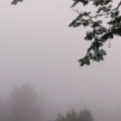 sanctus888's profile picture. 