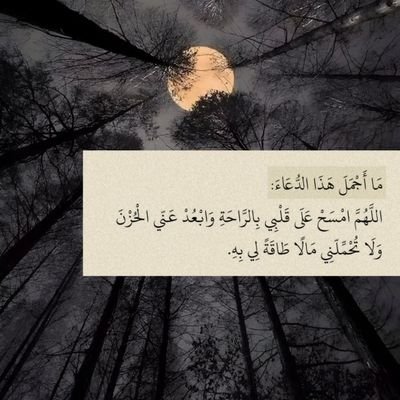 BykAmyn22247's profile picture. 