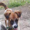 Janae king - @Janaeking593793 - Twitter