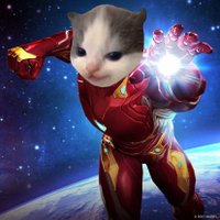 SimonIron@ (@simoniron23) 's Twitter Profile