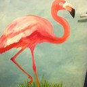 Jackie Abbott - @jackie_abbott - Twitter