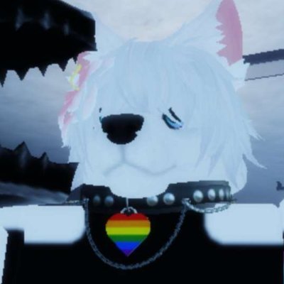 team_9004's profile picture. juanito, creador de contenido y animador 3D en roblox (posiblemente en blender en un futuro), furry femboy, 19 años, colombiano
