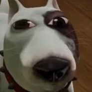 22
Voice Actor/Gamer/Nerdy Dumbass
If you think my voice sounds good and see a character that needs auditions for, @ me or dm me personally!