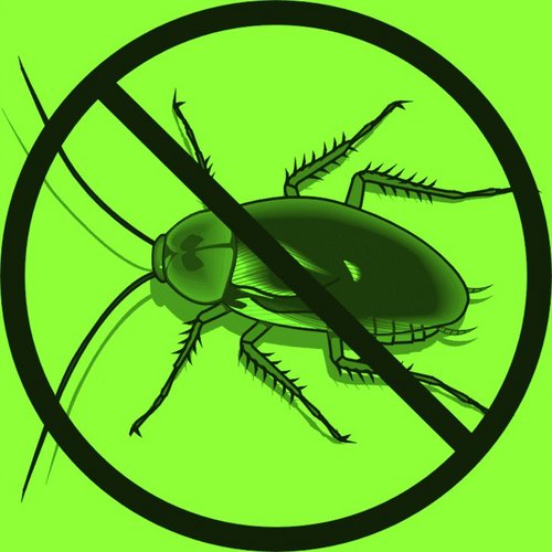 Our passion is to deliver professional pest control services to Vermont, protecting the environment and homeowner!