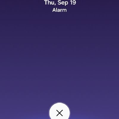 altlova's profile picture. 