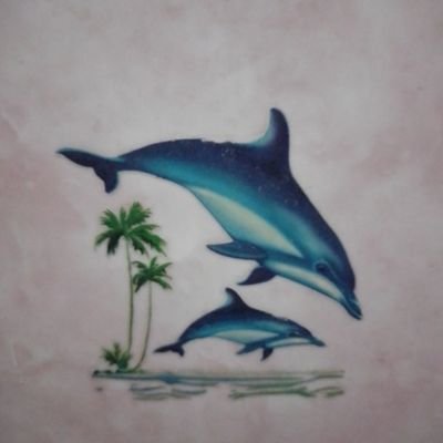 dilapadil's profile picture. dilapadil@ymail.com_fb