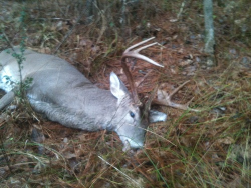 bmorse14's profile picture. 