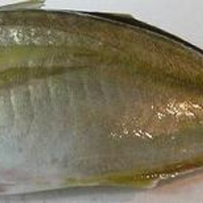 tamawarasa