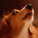 Beth Weiss - @WeissBeth28884 - Twitter