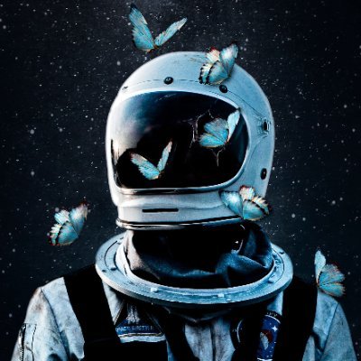 STestnet5's profile picture. 