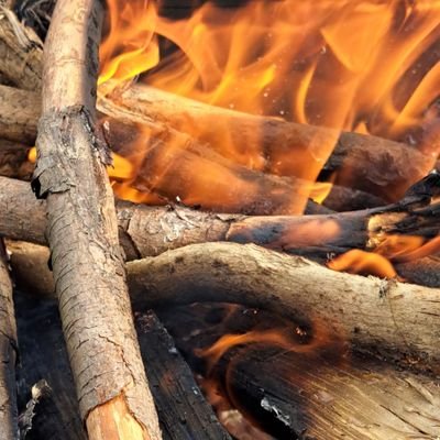 popomjb's profile picture. 44♂サレ。子供中１♂小5♂小3♂。嫁の不倫に気付き、絶対親権取るため入念？な準備をして証拠突き付け離婚決行！離婚届破られるも嫁だけ別居には何とか成功。嫁養育支援すると約束しただけで、子供らの心配一切なしの自己保身に終始。養育実績構築中のプレシンパパとなりました。