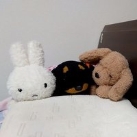 ラッキーのママ (@etuko427) 's Twitter Profile