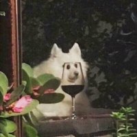AYAMI🤍 (@amalafa80179) 's Twitter Profile