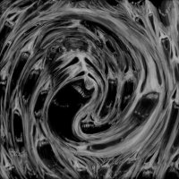 R3DRUM - @r3drum.bsky.social (@r3drum18) 's Twitter Profile