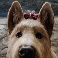 TheHappieMedium || 🍉 (@happiemedium) 's Twitter Profile