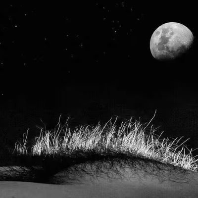 szfuzi's profile picture. 深圳80后夫妻，40/38，寻夫妻或情侣，不墨迹，真诚的来