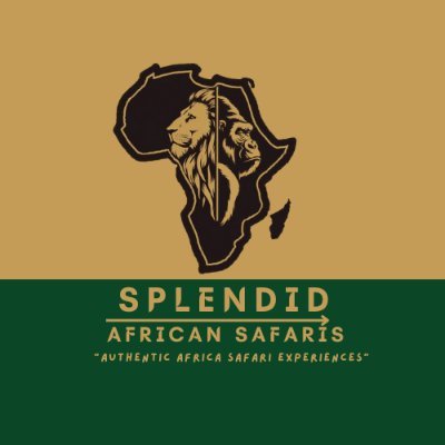SplendidAfrica0's profile picture. Explore Africa's wild heart with us! 🦍 Unforgettable safaris, iconic wildlife, and authentic African experiences. Join the adventure! Ugnada Rwanda Congo etc