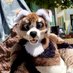 LennoxFlopdoggo (@lennoxflopdoggo) Twitter profile photo LennoxFlopdoggo (@lennoxflopdoggo) Twitter profile photo