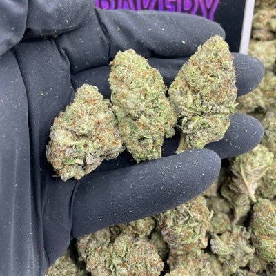 ASTROWAY 🌿 | Top-tier WEED (50% THC), Mushrooms & Psychedelics 🌈 | Explore premium products at https://t.co/htUeMCfsPp | #CannabisCommunity #PsychedelicVibes | 🌲