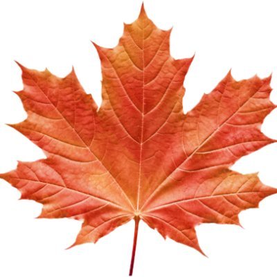 DzejkR61426's profile picture. В теневом бане🇨🇳 Гей, трансфоб, противник движения Лгбт+