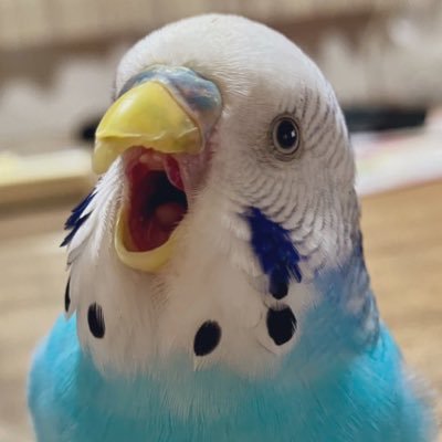 𝕊𝕦𝕟𝕪𝕒𝕞𝕒@💉PPPPPPP🤖T💉 (@sunyama1517) / Posts / X