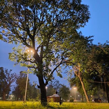 pandey6636's profile picture. जय श्री राम 🚩🚩