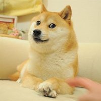 Moon Barkers (@dogeafrica_) 's Twitter Profile Photo Moon Barkers (@dogeafrica_) 's Twitter Profile Photo