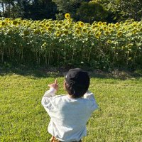 Yusuke Fujisawa (@yusukefuj) 's Twitter Profile