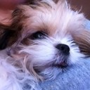 caitlin perkins - @cperk987 - Twitter