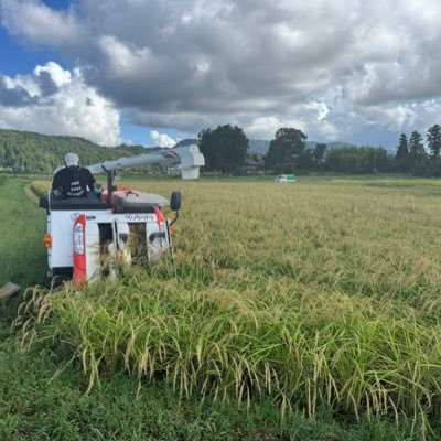 46_zui's profile picture. 酒造りと米づくり。 「農釀一途」