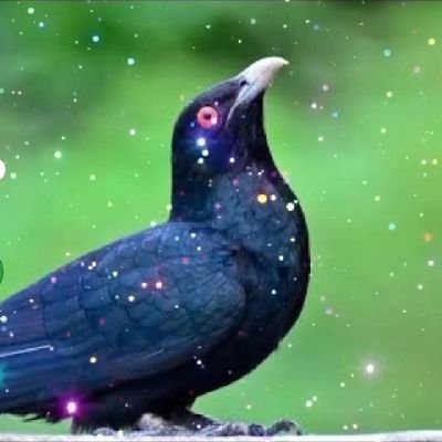 Black83660969's profile picture. 👽 A simply man👽