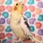 Mr_lubitsch's profile image