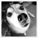 Zoe Carson - @_ZoLander_ - Twitter