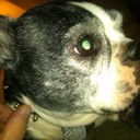 Heather Ison - @heatherison16 - Twitter