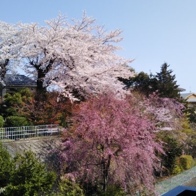 GEW6fw1fY9S3Fg2's profile picture. 