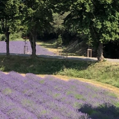 Très simple et sociable, qui sais écouter et venir en aide dès que possible .. prends toujours la vie du bon côté
