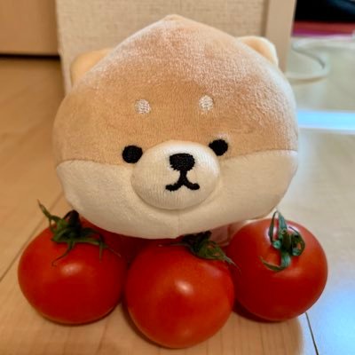 あことま（ACOtoma）🐾🍅🐾さんのプロフィール画像