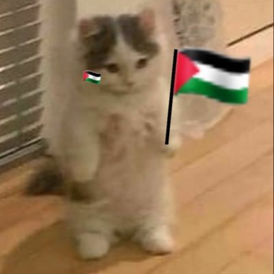 pilpille's profile picture. 