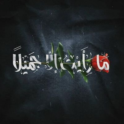 alhussainynoor2's profile picture. 