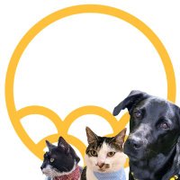 Nananas (@nananasshop) 's Twitter Profile