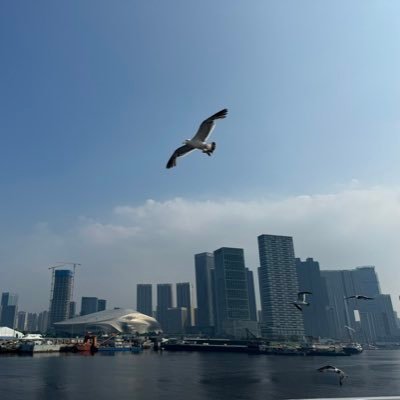 beyond41061356's profile picture. 时刻保持一颗敬畏的心，如临深渊，如屡薄冰。