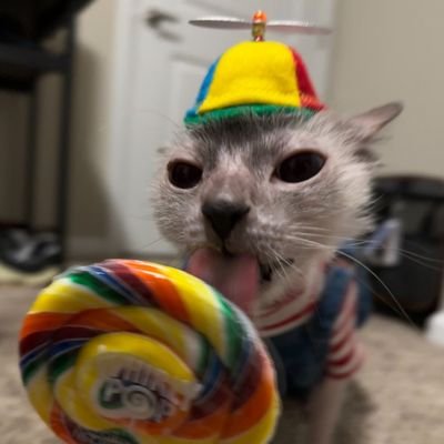 joeda900's profile picture. Damn nigga hi